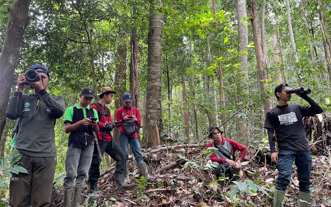 Upaya Restorasi Hutan dan Kolaborasi Masyarakat Dorong Pemulihan Lingkungan