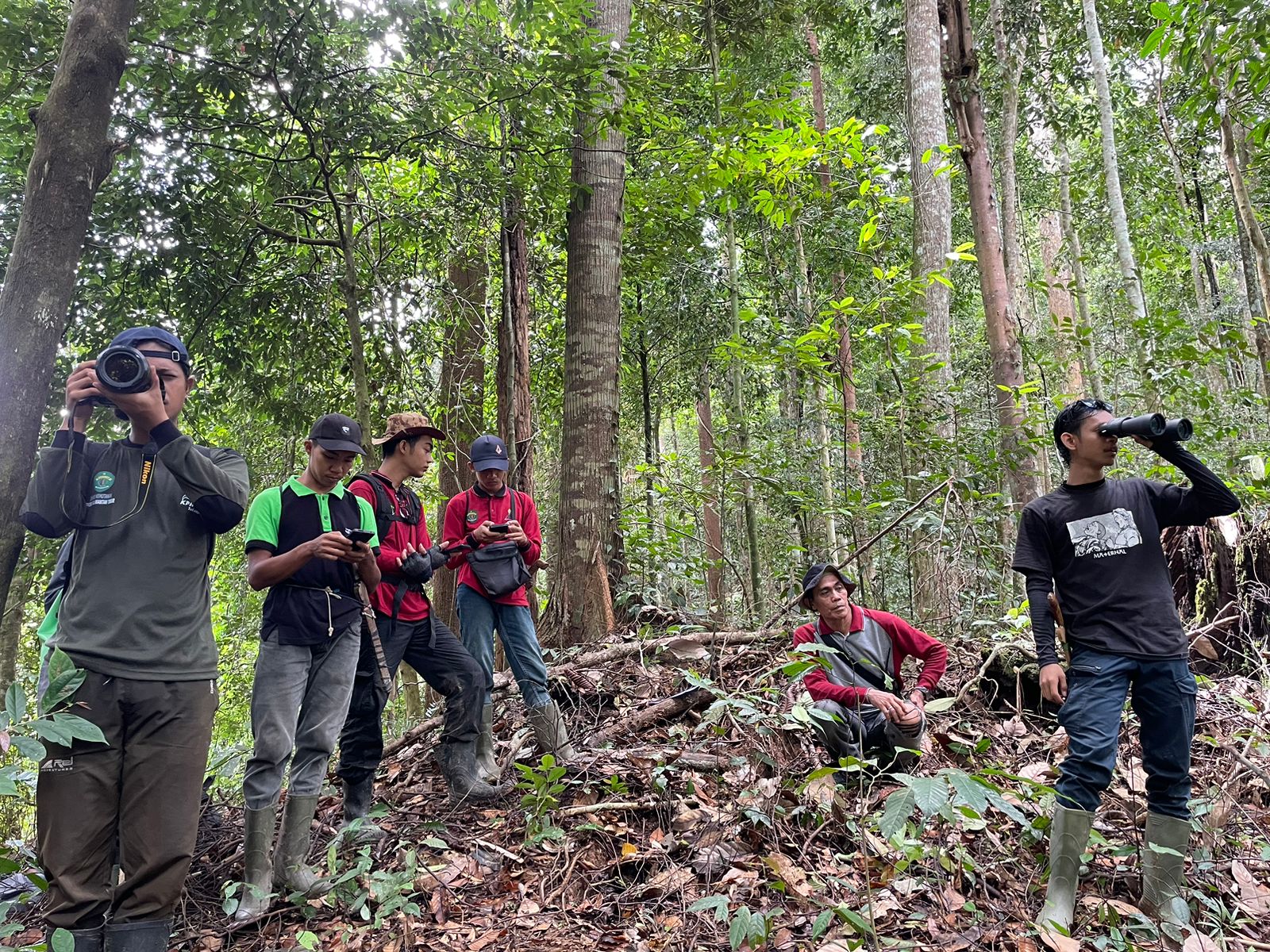 Upaya Restorasi Hutan dan Kolaborasi Masyarakat Dorong Pemulihan Lingkungan