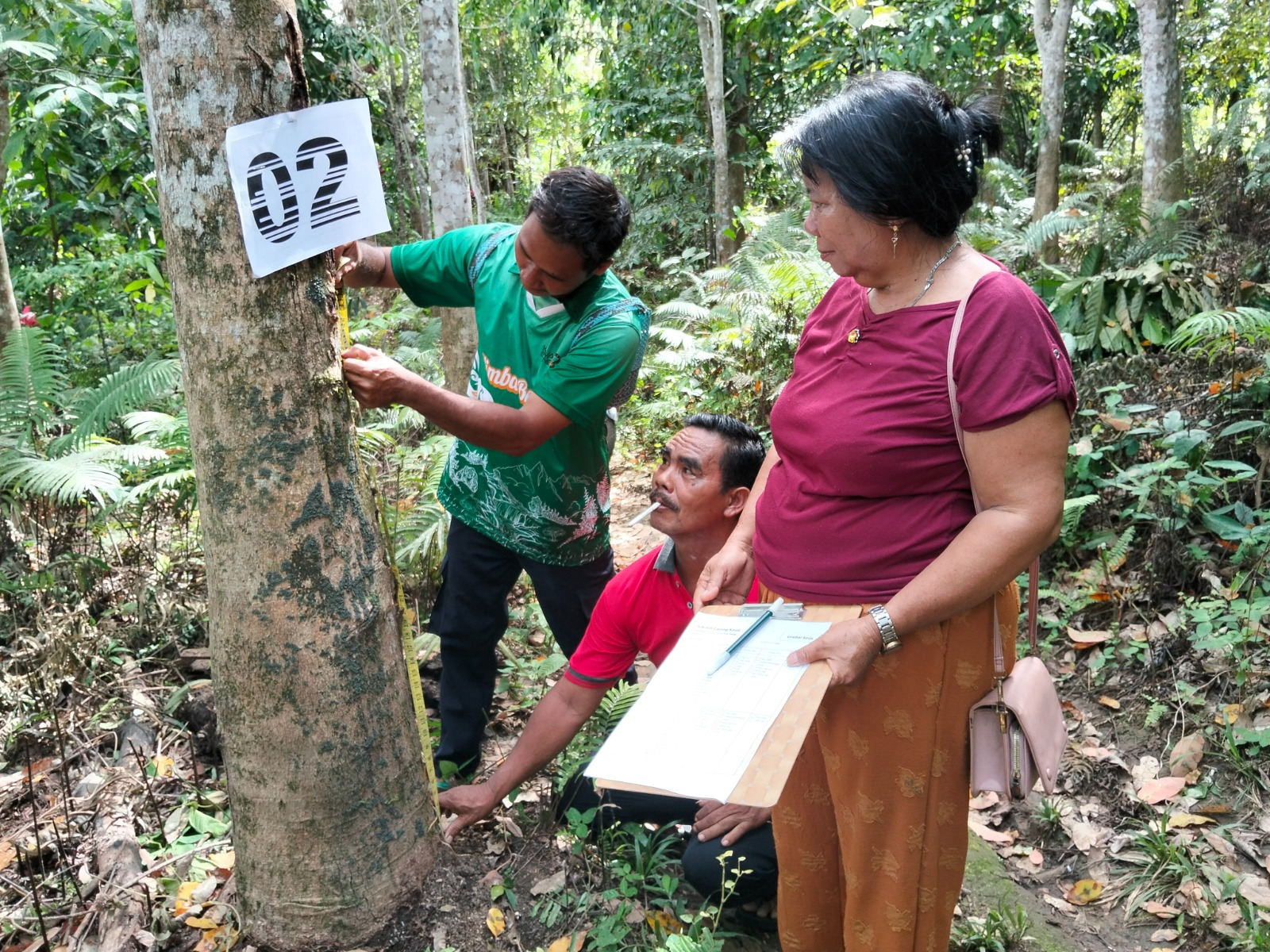 Petani Kampung Lakan Bilem Bekali Diri Lewat Sekolah Lapang Identifikasi Pohon Karet Siap Sadap