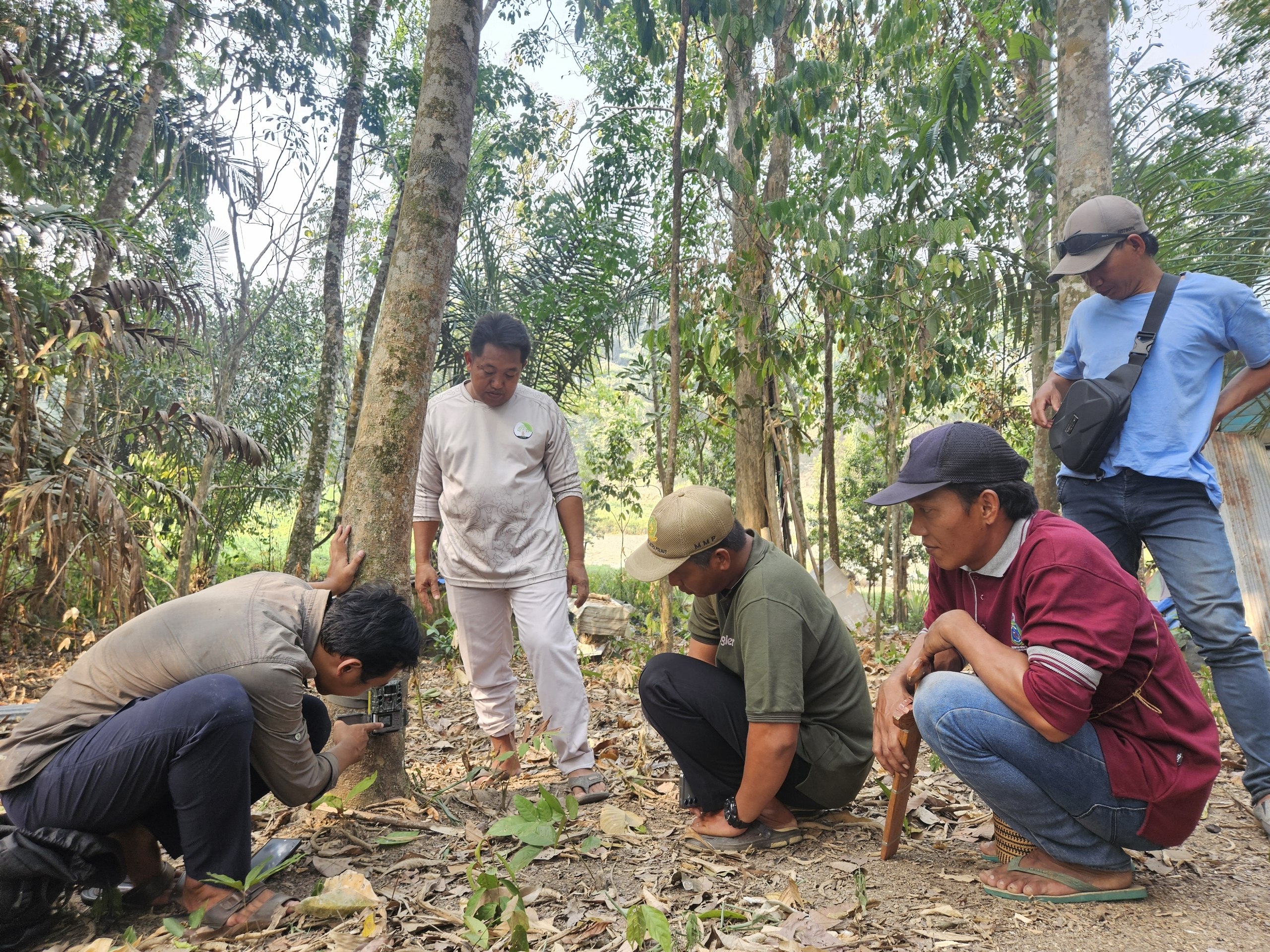 LPHD Semuntai dan KBCF Latih Tim Lokal Kuasai Teknologi Camera Trap demi Lindungi Satwa Langka Hutan Desa